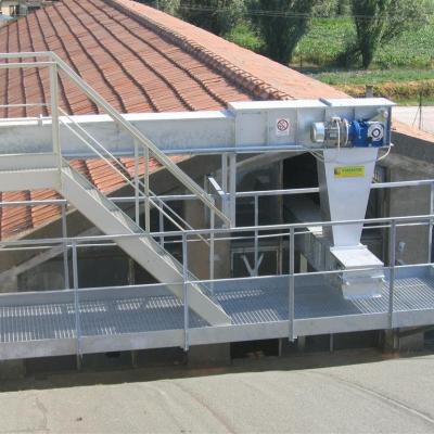 Trasportatore A Catena 1