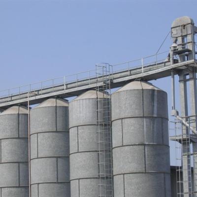 Silos Stoccaggio E Carico Rapido Rinfusa 1