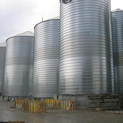 Silos Stoccaggio E Carico Rapido Rinfusa 2