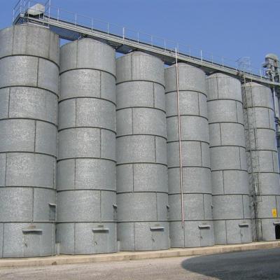 Silos Stoccaggio E Carico Rapido Rinfusa 6